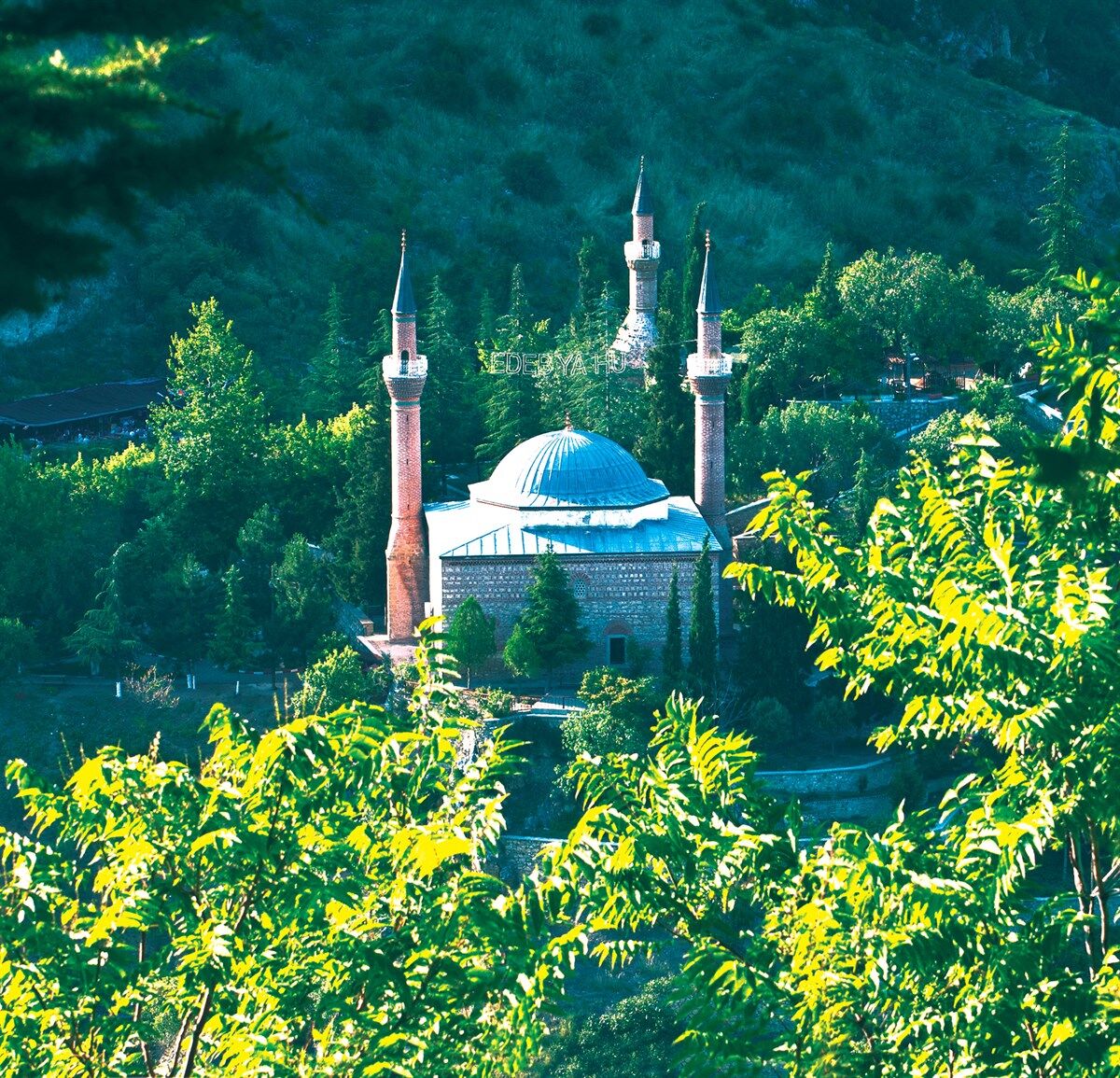 Bayramda Maneviyatın Zirvesi 14971