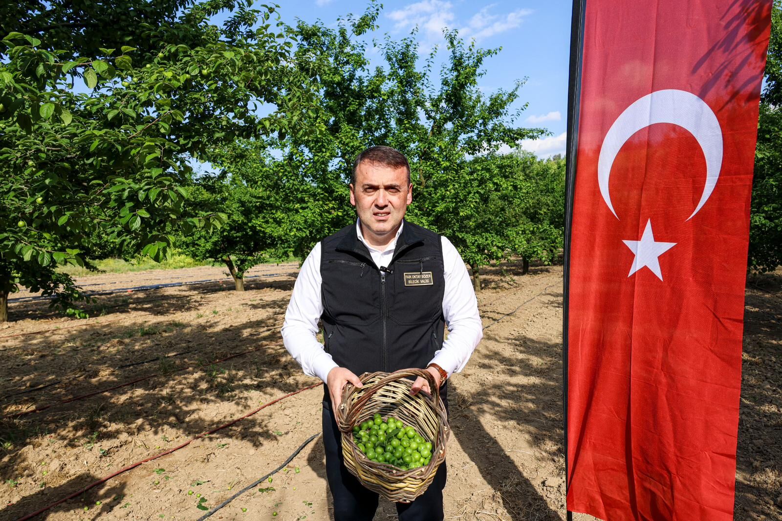 Bilecik’te Sezonun İlk Can Eriği Hasadı Yapıldı 14541