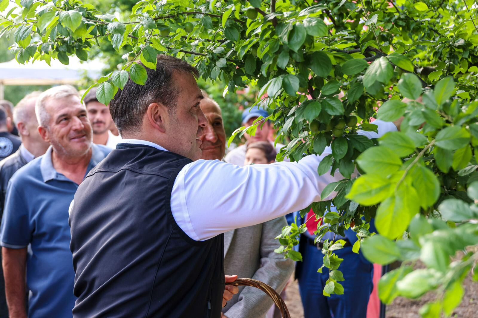 Bilecik’te Sezonun İlk Can Eriği Hasadı Yapıldı 14545