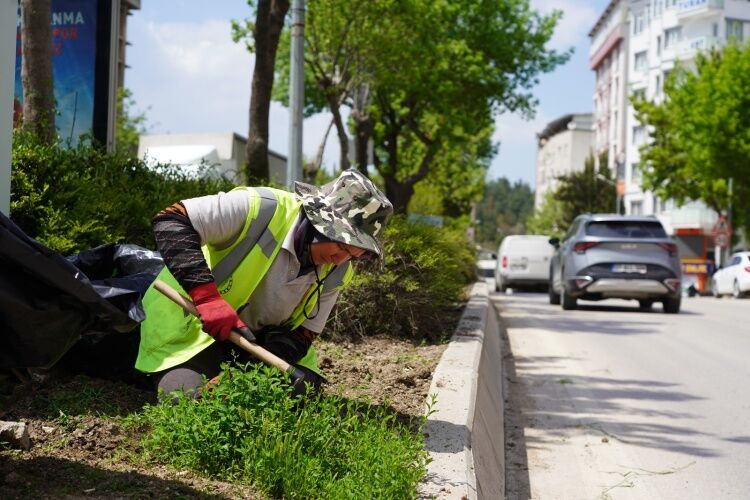 Bilecik’te Yeşillendirme Çalışmaları Sürüyor 14522