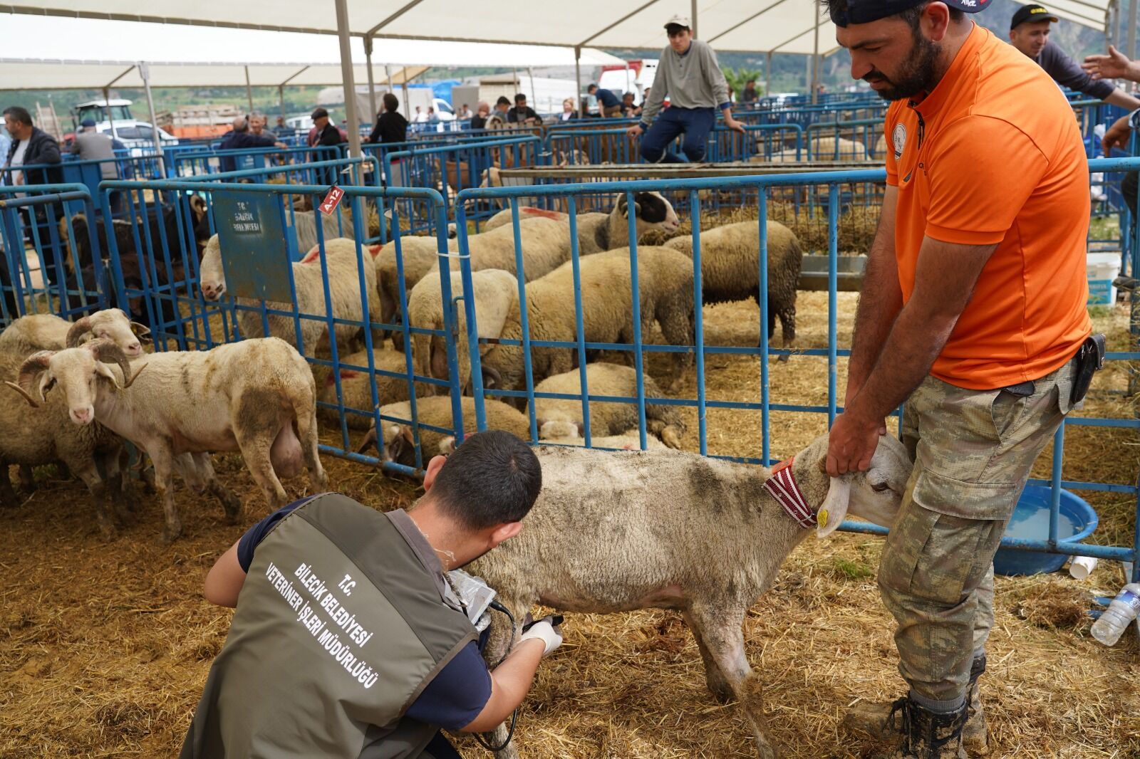 Kurban Pazarında Sıkı Denetim 14977