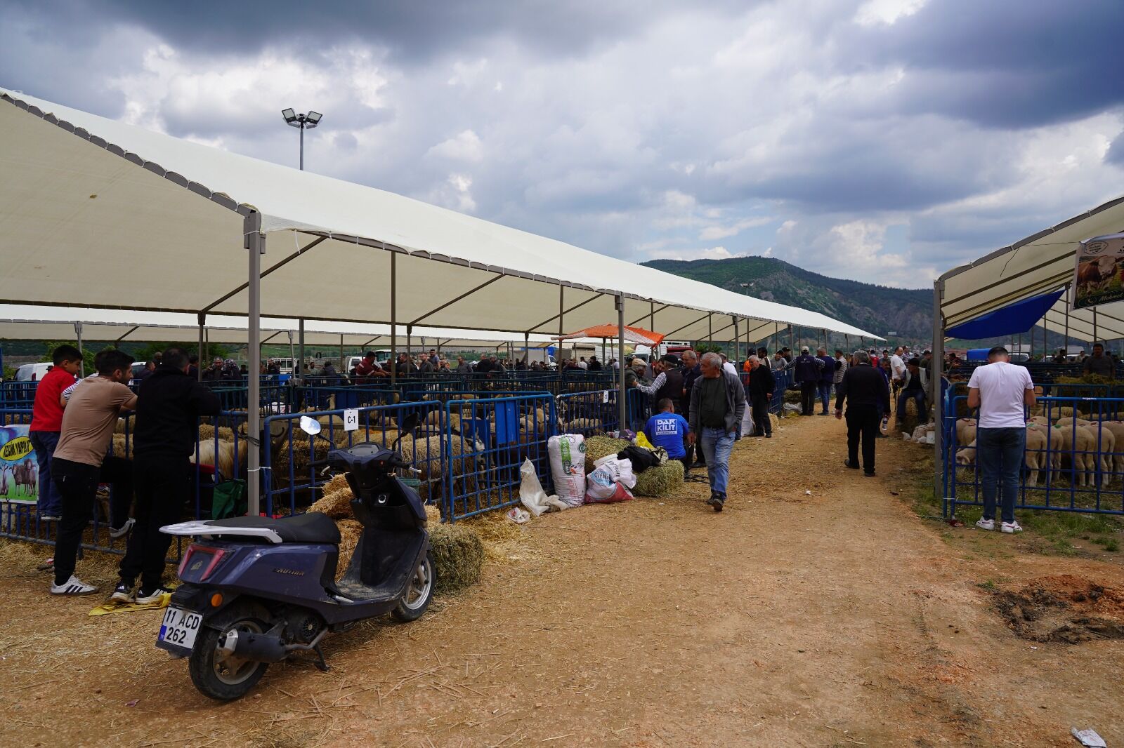 Kurban Pazarında Sıkı Denetim 14982