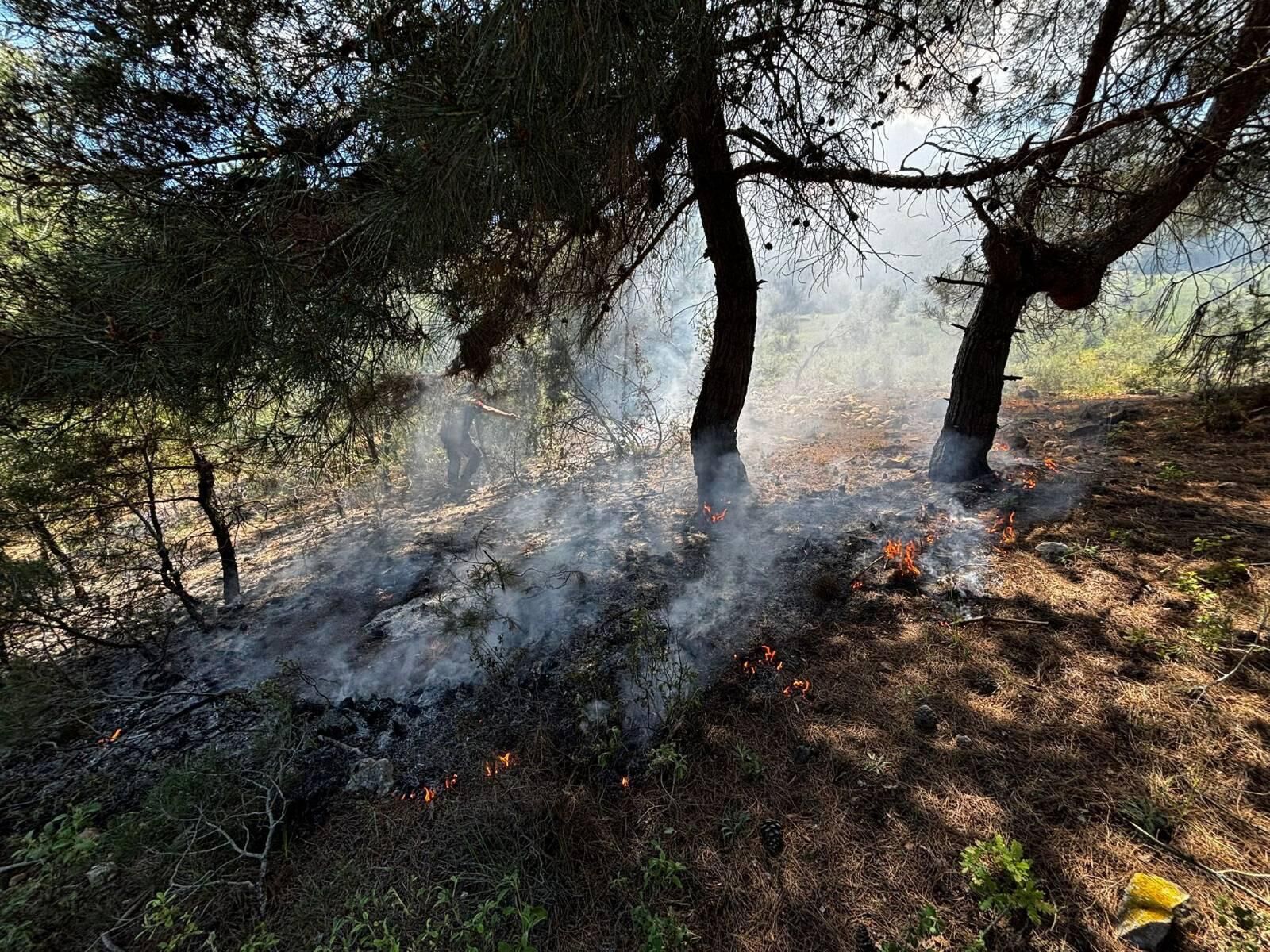 Ormanlık Alanda Korkutan Yangın 14721