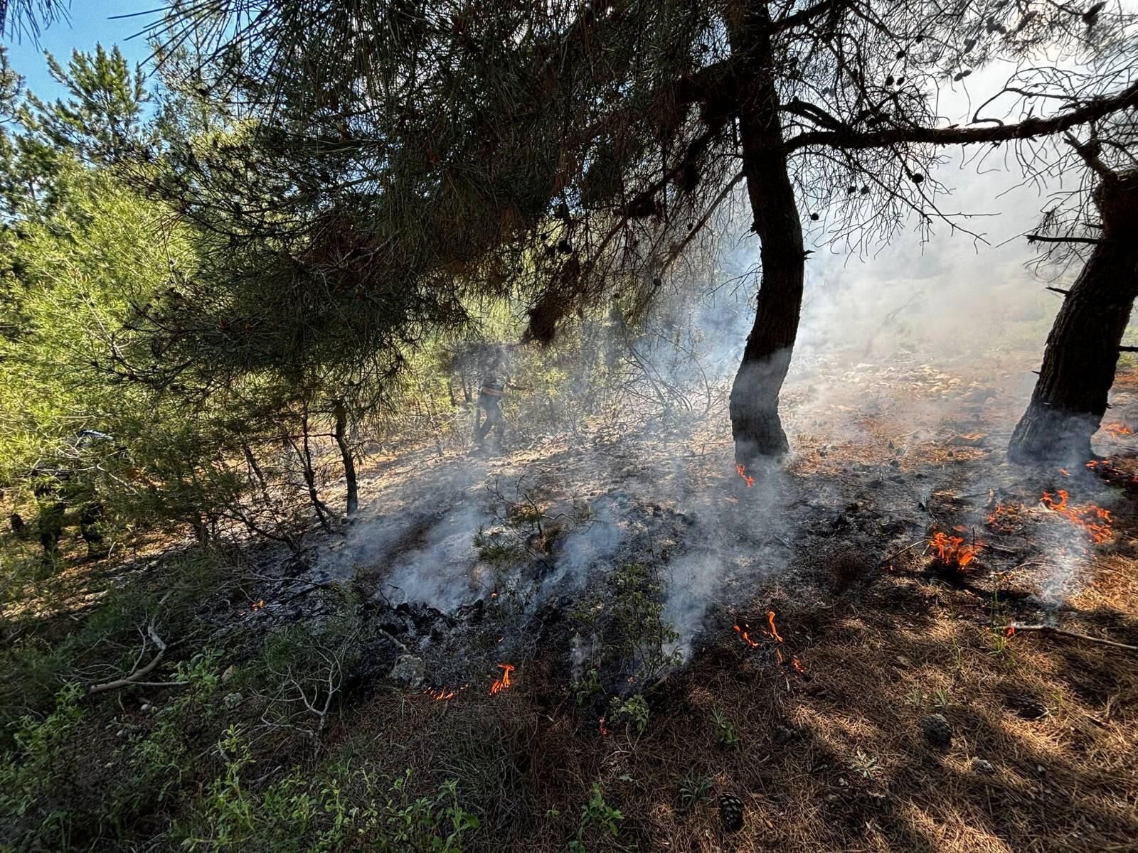 Ormanlık Alanda Korkutan Yangın 14722