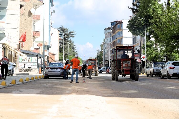 Söğüt’te Temizlik Ve Peyzaj Çalışmaları Aralıksız Sürüyor 14539