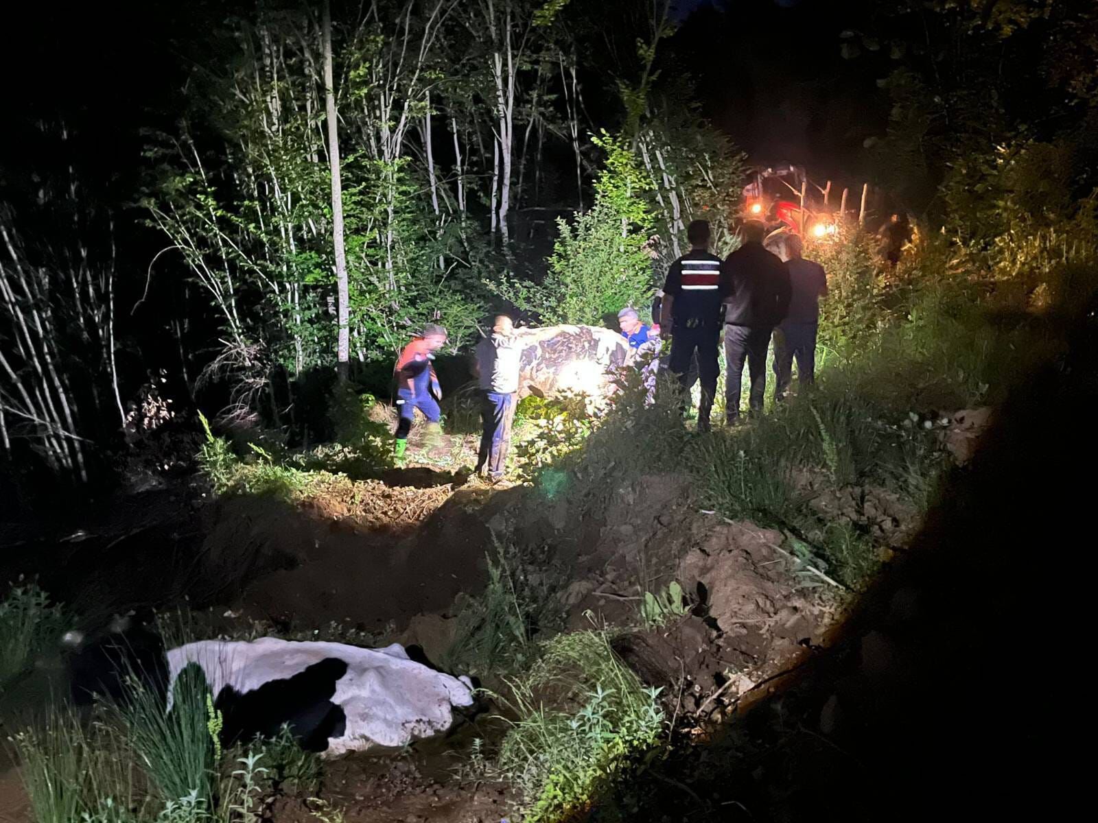 Bilecikte Çamura Saplanan Hayvanlar Için Seferberlik 16009