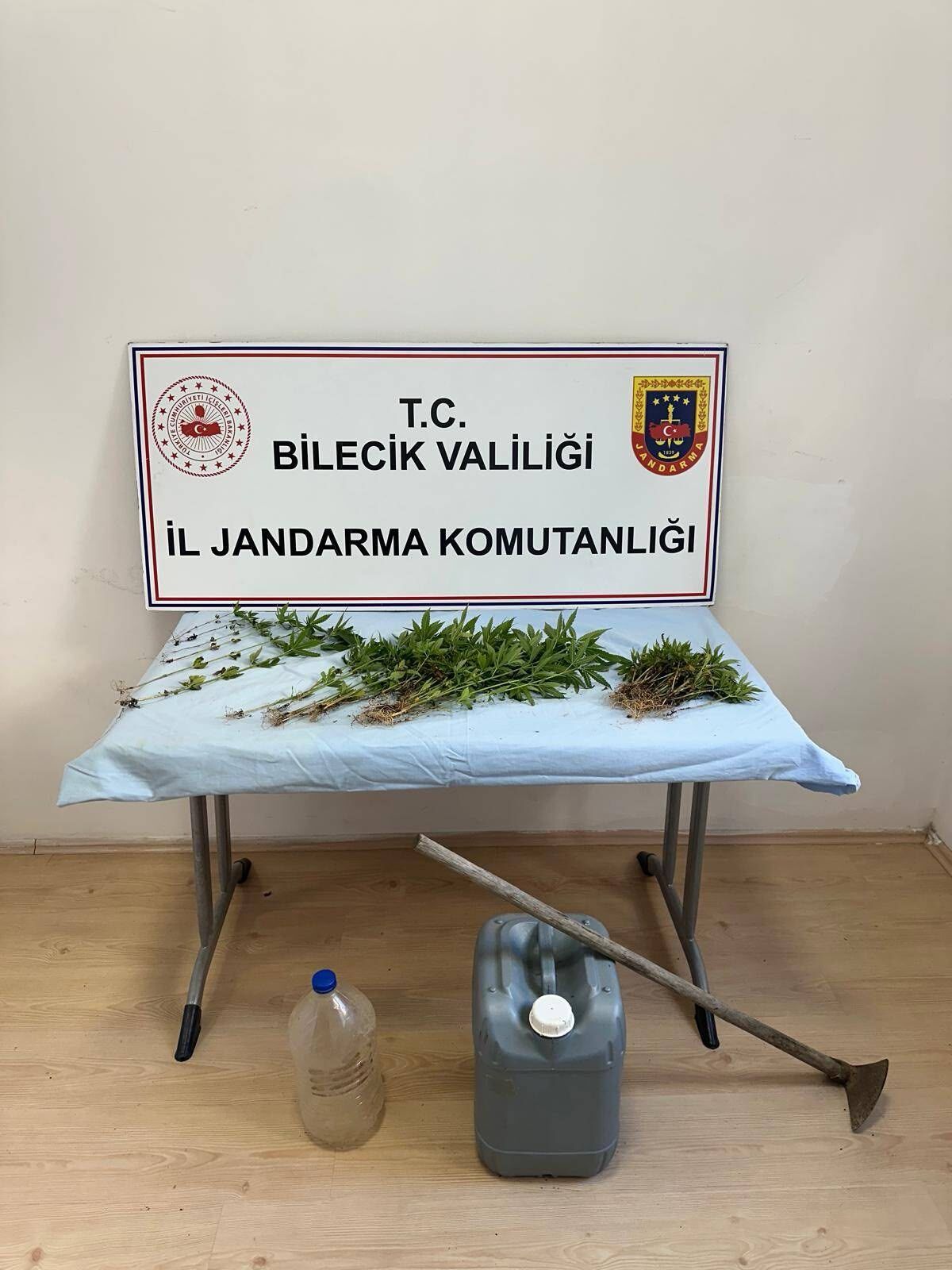 Bilecik’te Kenevir Operasyonu 16408