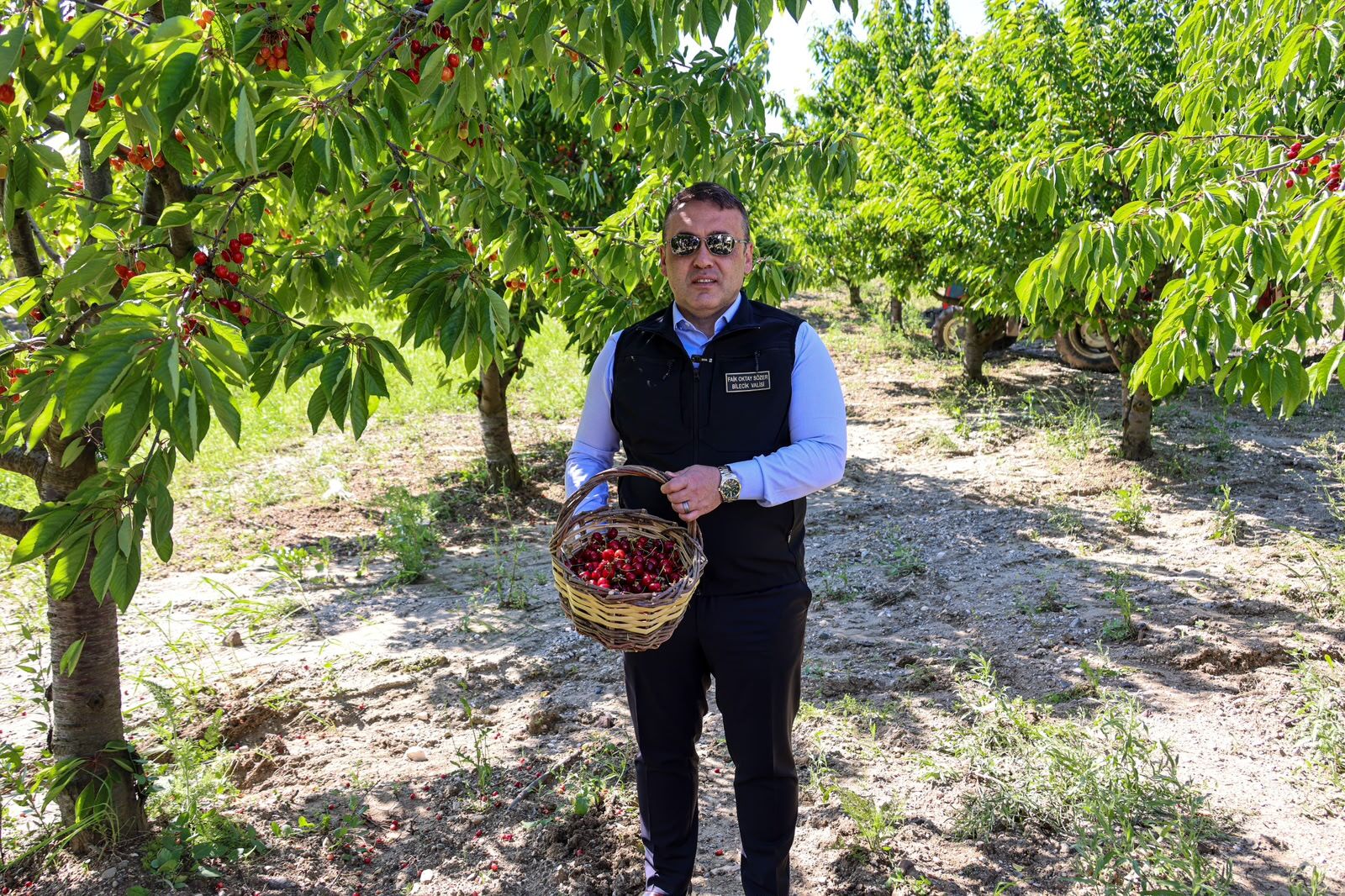 Bilecikte Kiraz Zamanı 15512