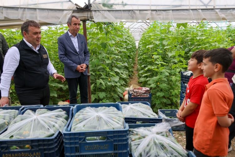 Bilecikte Kırmızı Bereket Başladı 16098