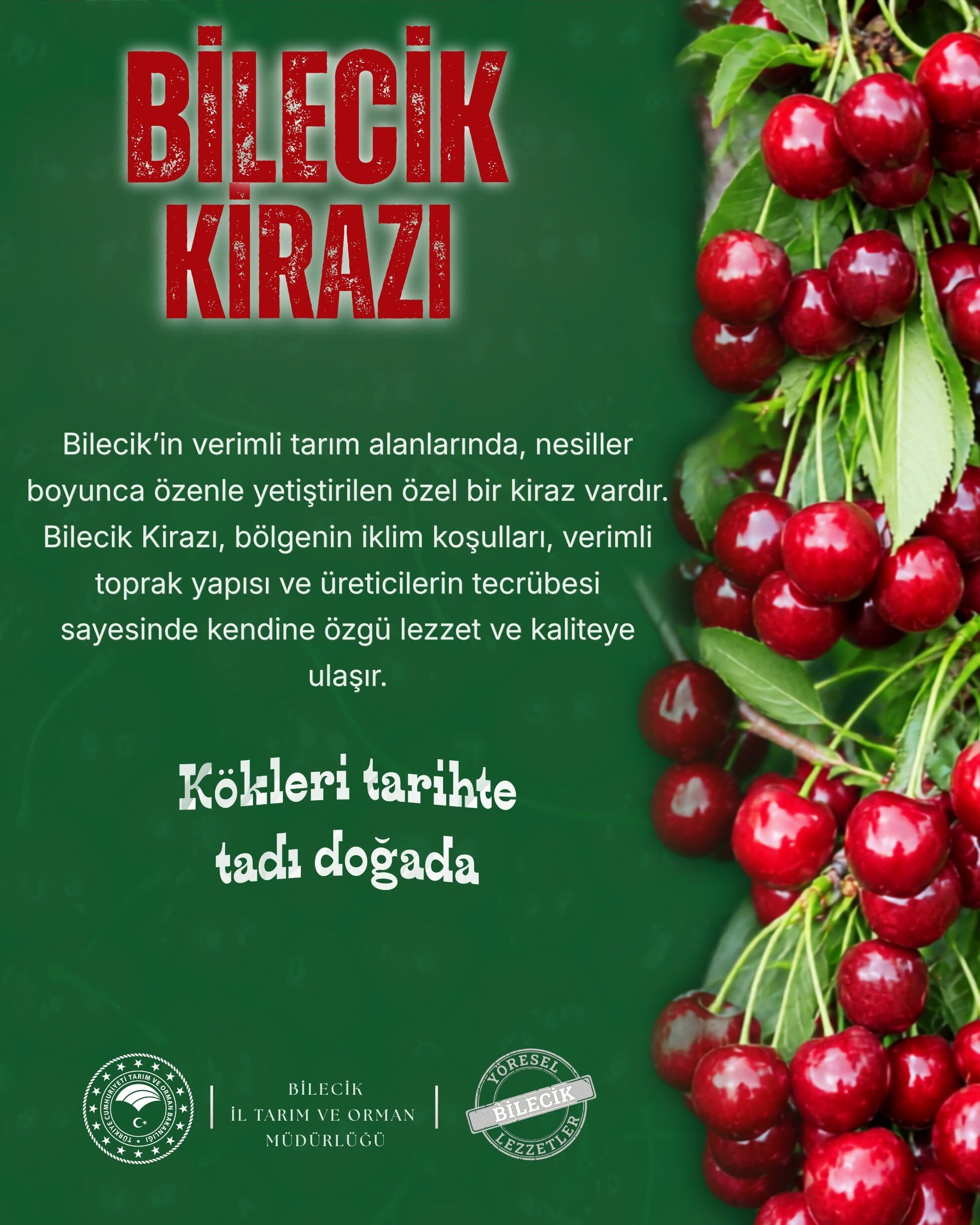Kökleri Tarihte Tadı Doğada 15933
