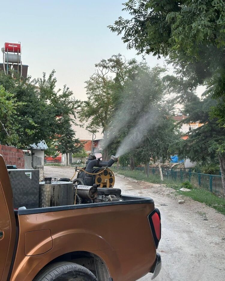 Söğüt’te Yaz Boyu Haşereyle Mücadele Sürüyor 16605