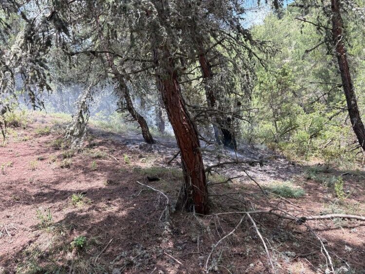 Yıldırım Düştü Çıkan Yangın Korkuttu 16250