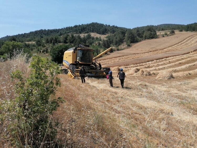 Biçerdöverlere Sıkı Denetim 16629