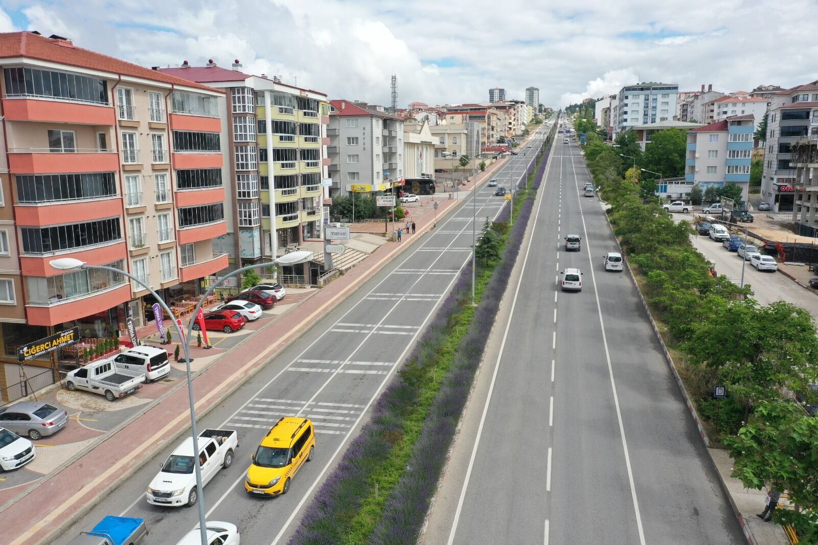Bilecik’in Lavanta Projesi Dünyaya Damga Vurdu 16630