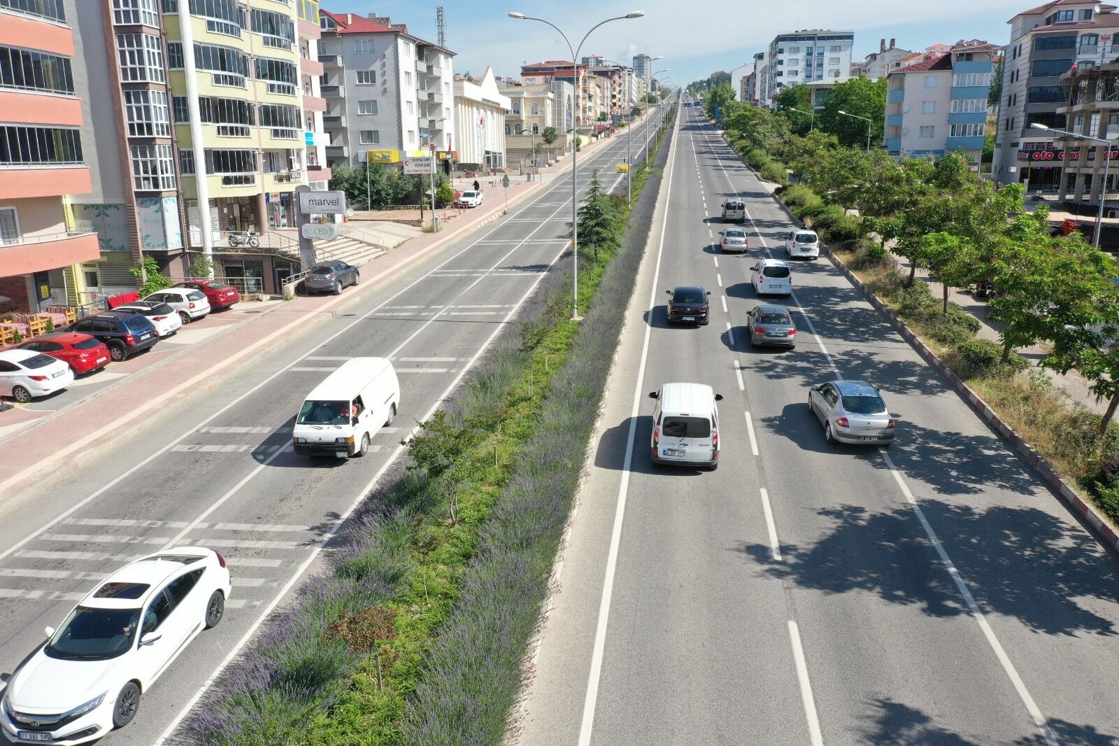 Bilecik’in Lavanta Projesi Dünyaya Damga Vurdu 16631