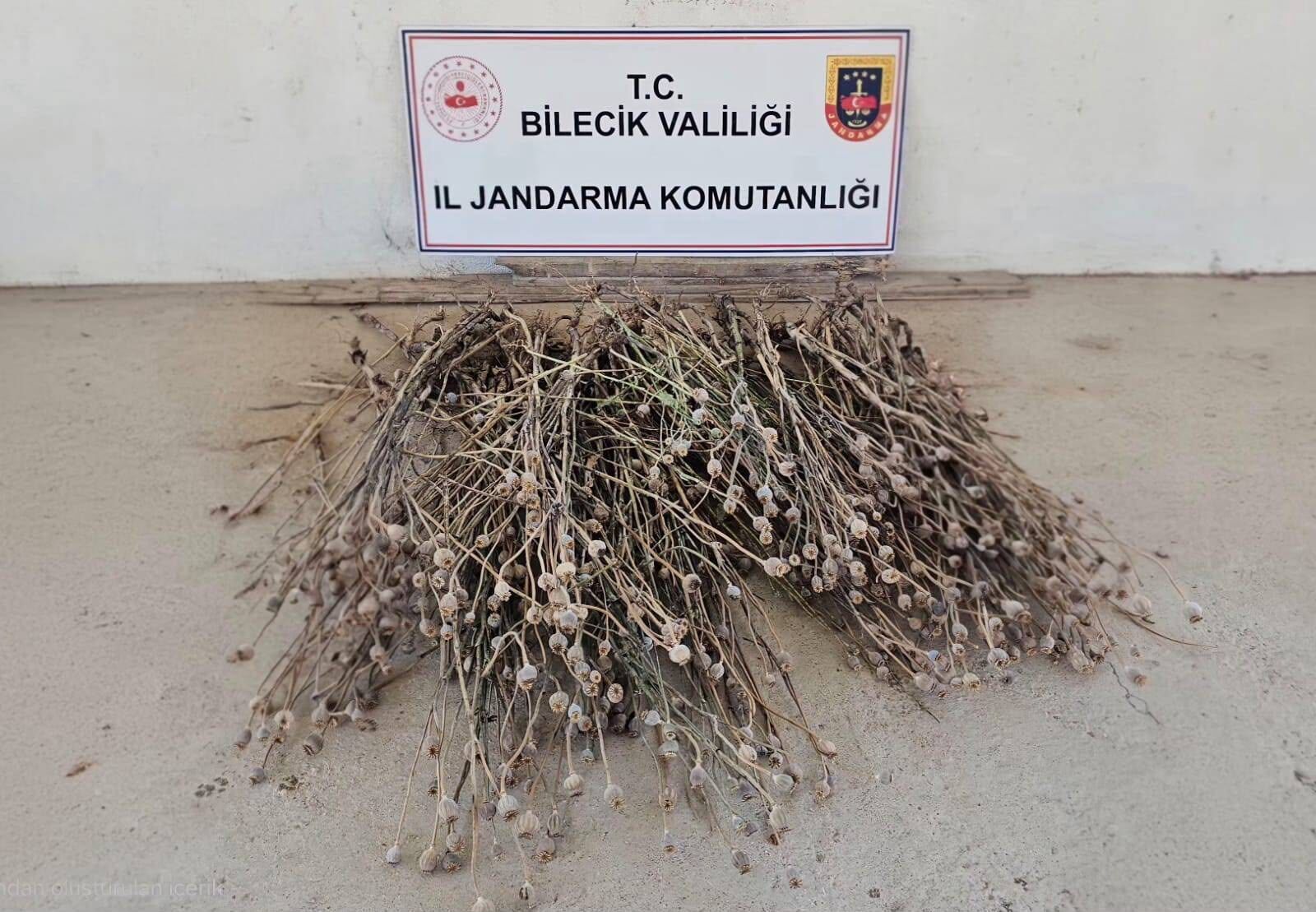 Bilecikte İzinsiz Haşhaş Ekimine Jandarma Baskını 16644