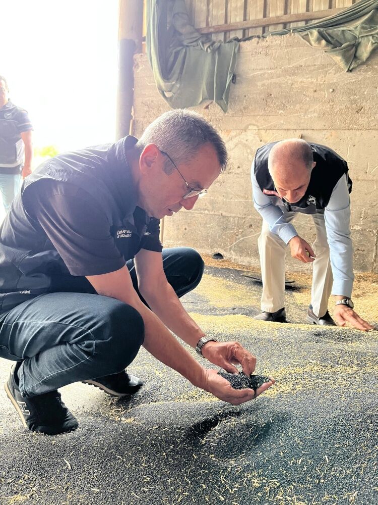 Bilecik’te Kanola Ve Ayçiçeği Tesisleri İncelendi 17043