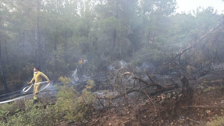 Bilecik’te Örtü Yangını Kısa Sürede Söndürüldü 17115
