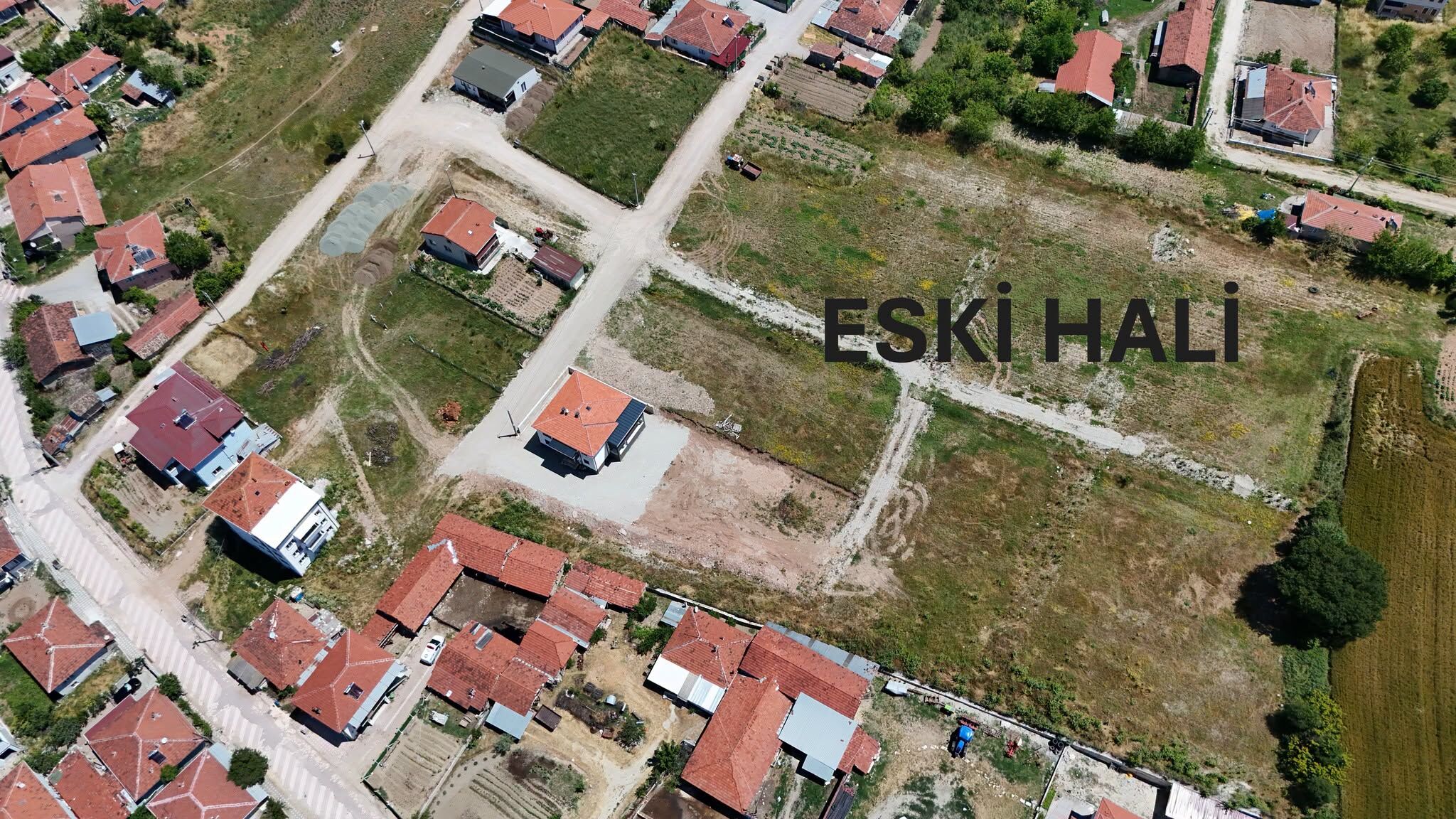 Çılgın Başkandan Eleştirilere İmalı Yanıt 17349