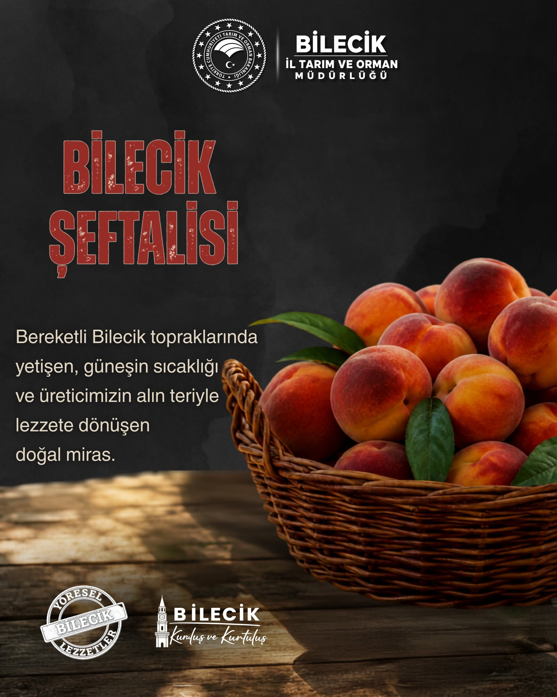 Bilecik’in Şeftalisi Sofraların Gözdesi Oldu 17786