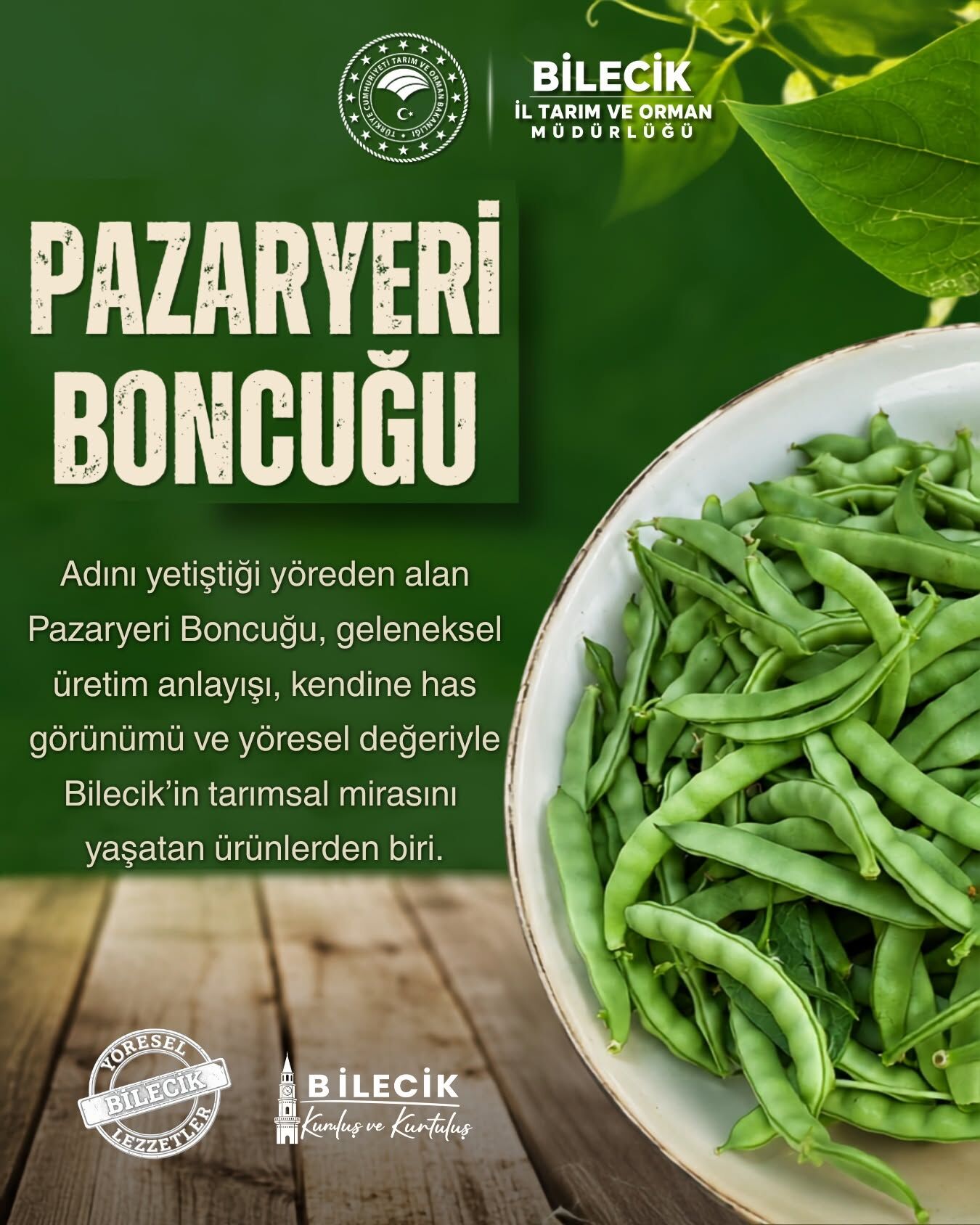 Bilecik’in Yeşil Altını 17954