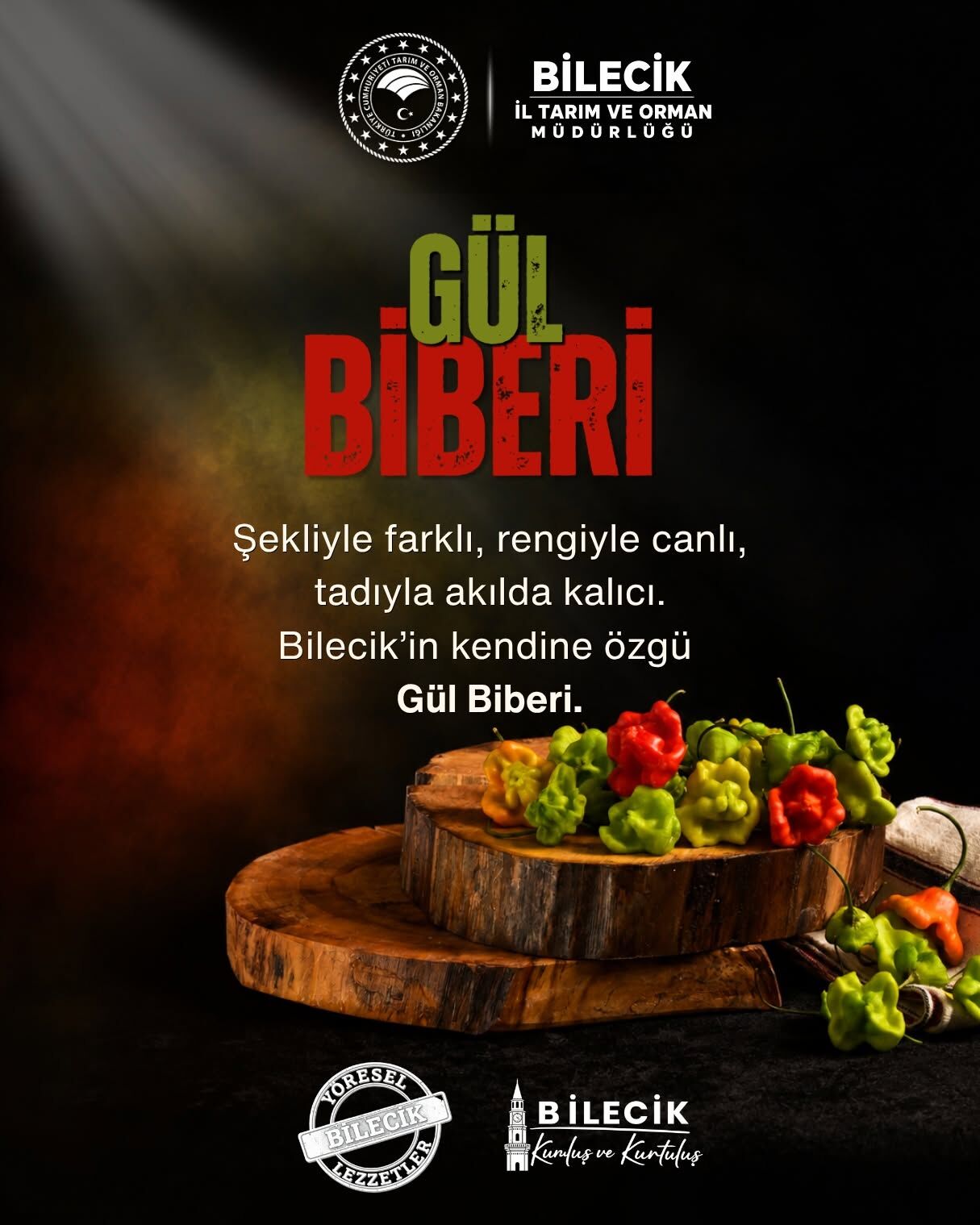 Bilecik’in Yöresel Lezzet Mirası 18142