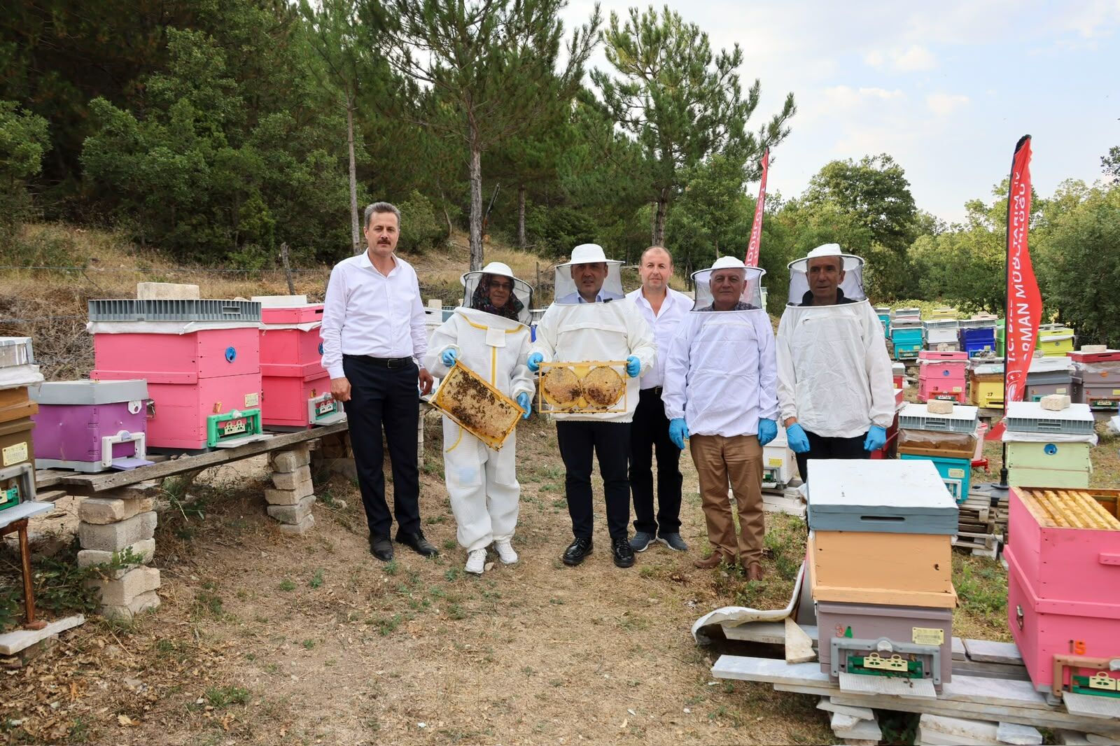 Bilecik’te Bal Hasadı Bereketi 17979