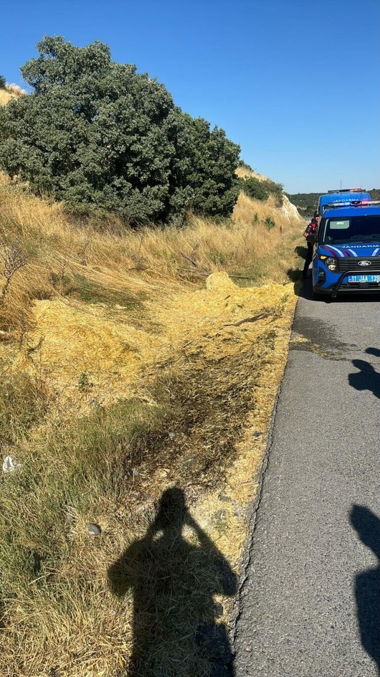 Bozüyük’te Tarla Yangını Büyümeden Söndürüldü 17607