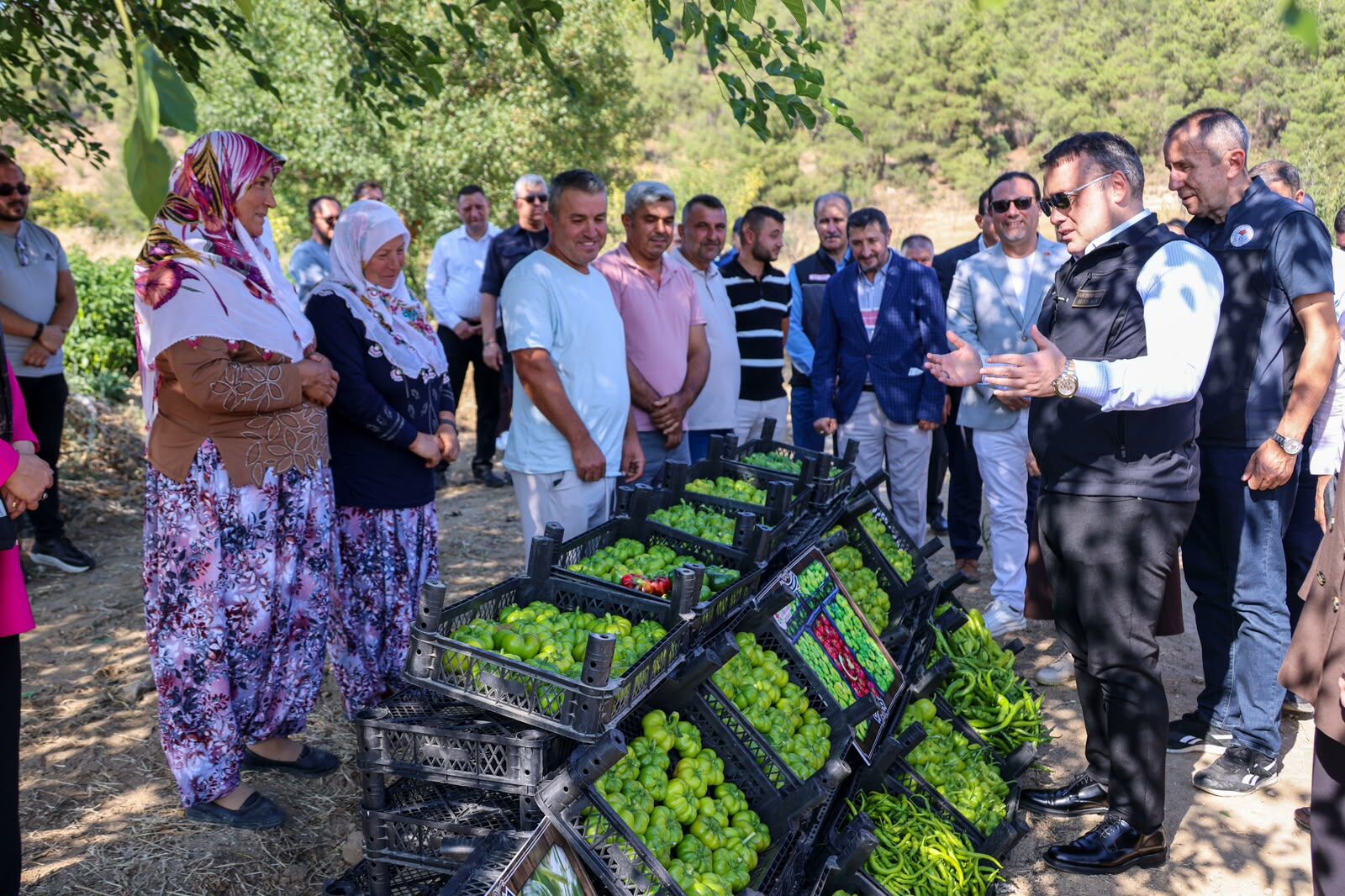 Coğrafi İşaretli Kamber Biberinde Hasat Heyecanı 17695
