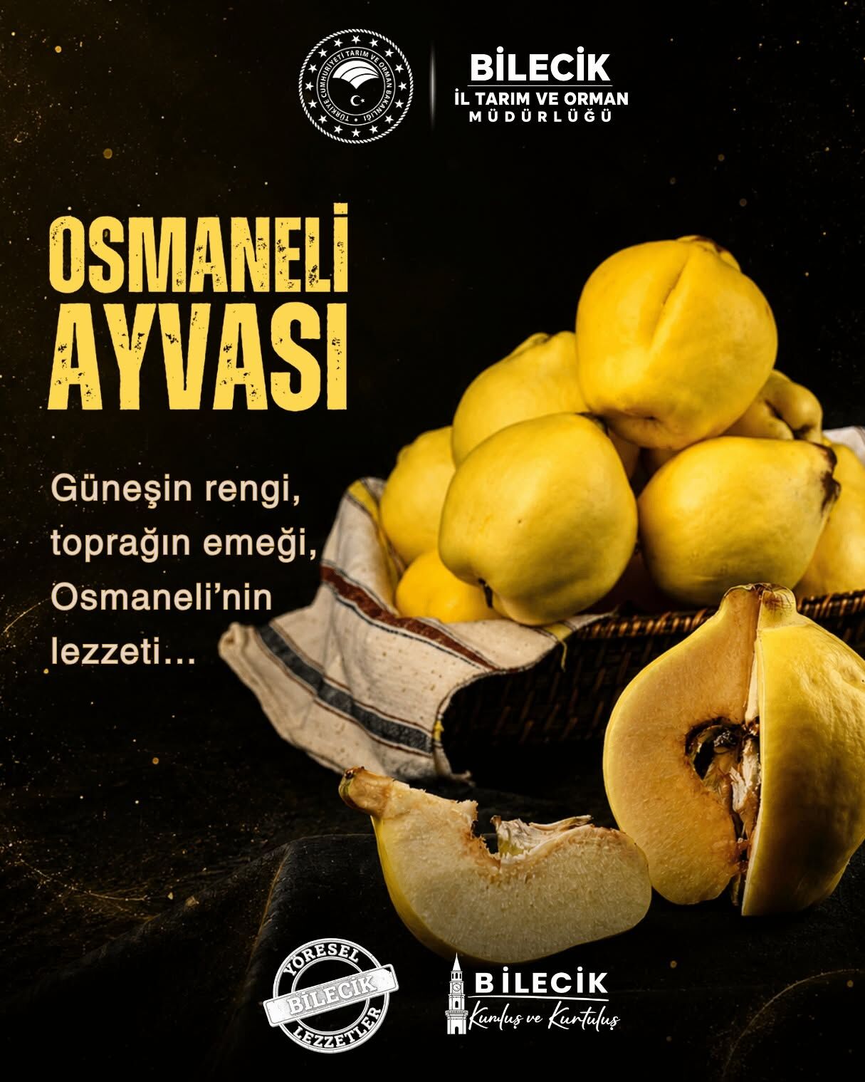 Evliya Çelebi’nin Seyahatnamesi’nden Günümüze Osmaneli Ayvası 18208