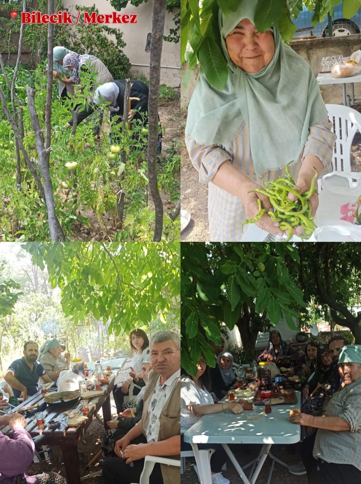 Huzurevinde Emekle Gelen Bereket 17578