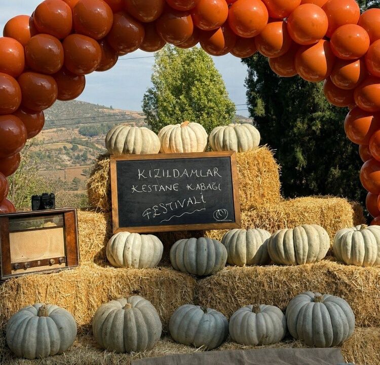 Kızıldamlar Kestane Kabağı Coğrafi Işaretle Değer Kazanacak 18083