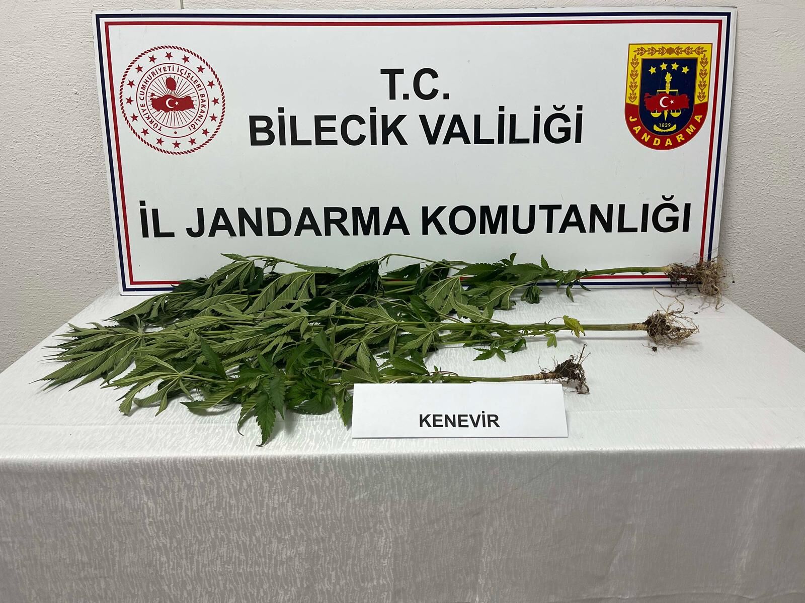 Kovaların Içinde Kenevir Ele Geçirildi 18104