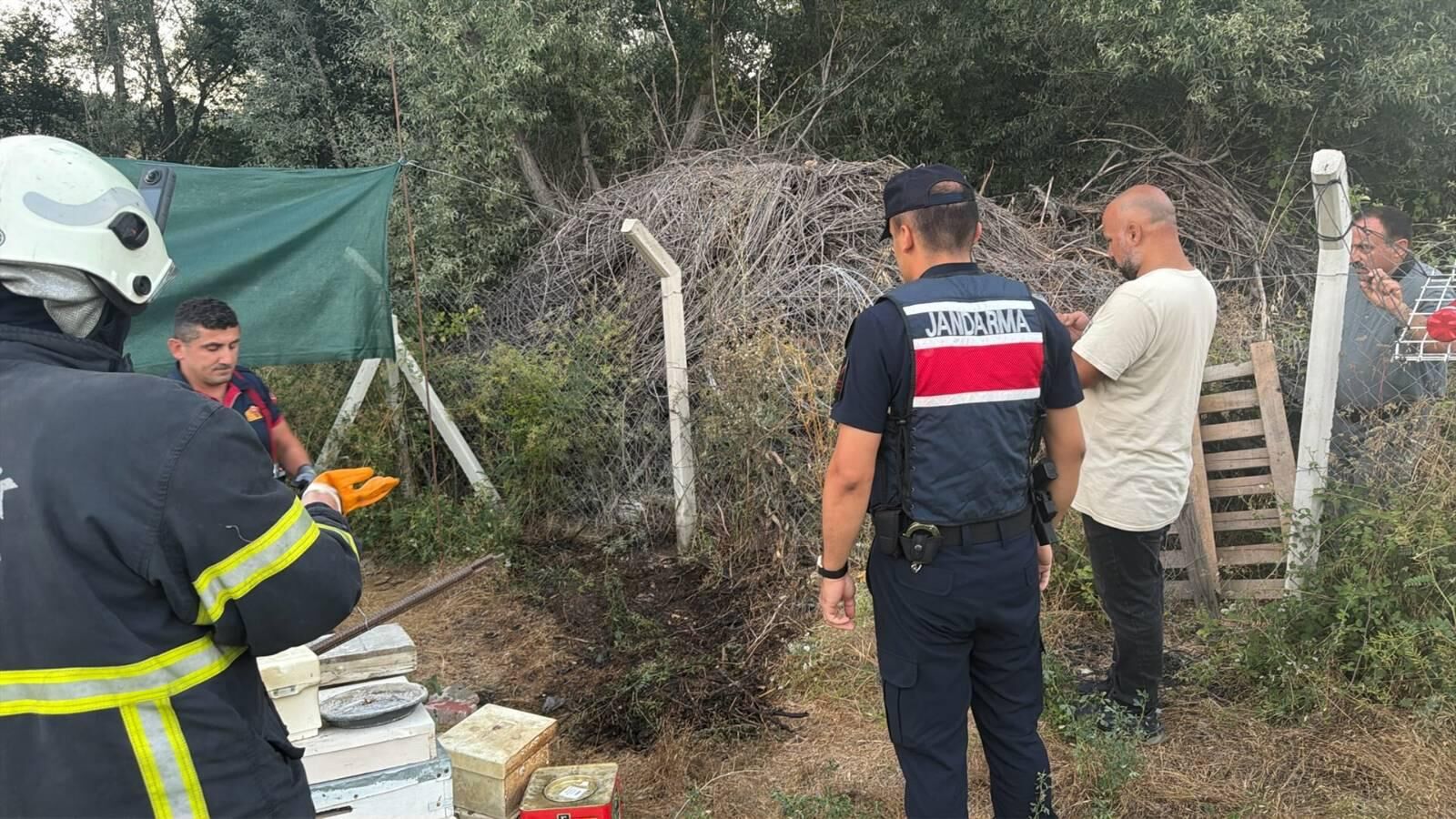 Pelitözü’nde Ot Ve Çalılık Yangını Büyümeden Söndürüldü 17958