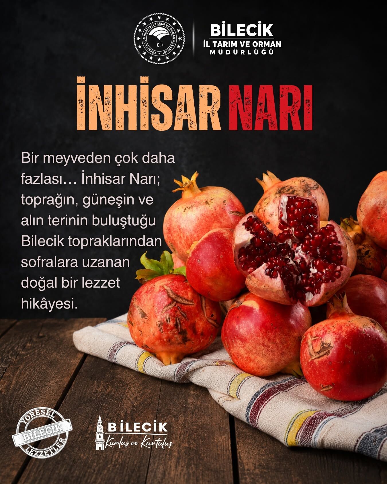 Sakarya Vadisi’nin Kırmızı Mücevheri 18095