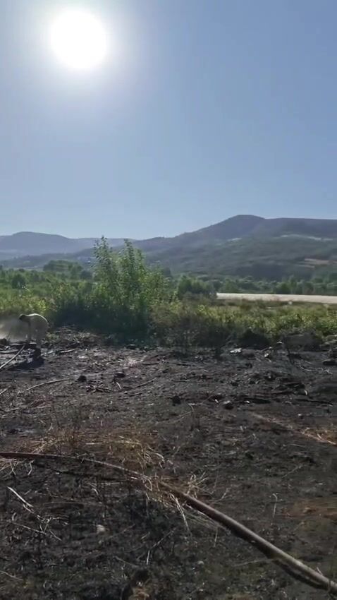 Whatsapp Video 2026 07 31 At 19.52.39 000037