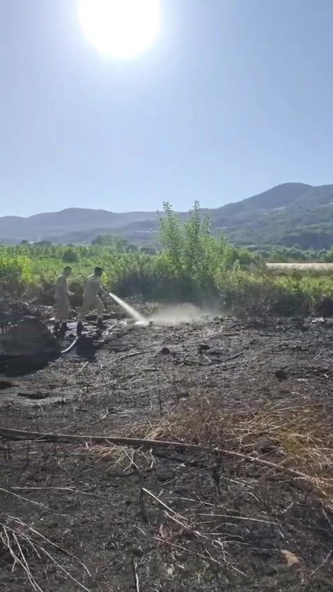 Whatsapp Video 2026 07 31 At 19.52.39 000063