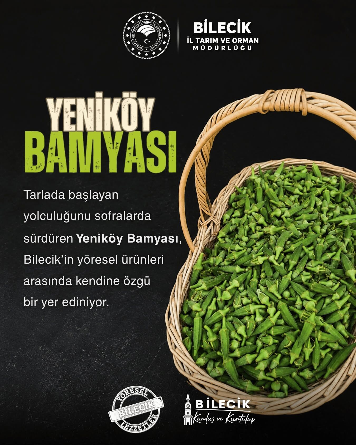 Yeniköy’ün Yeşil Hazinesi 18209