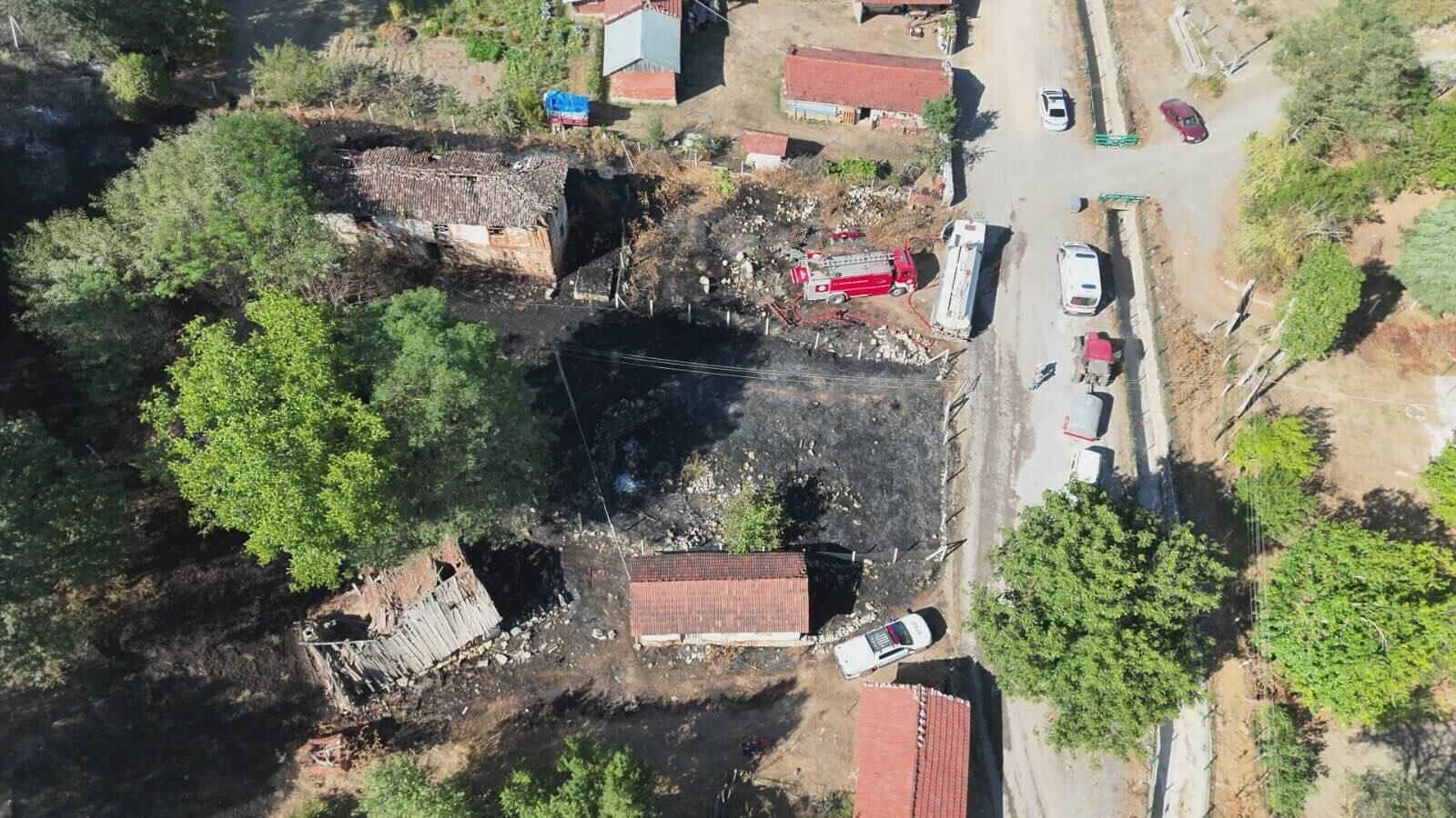 Bahçedeki Çalı Çırpı Yangını Ormana Sıçradı 8 Bin Metrekare Alan Zarar Gördü 18905