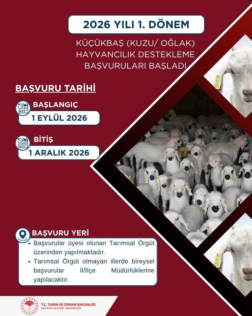 Bilecikli Yetiştiricilere Destek 18718