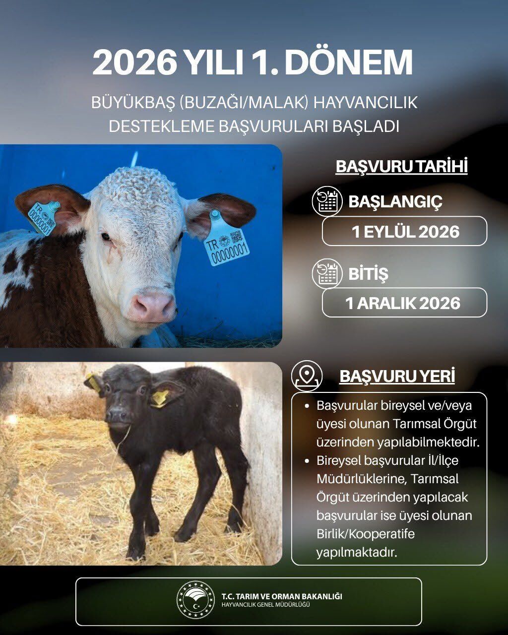 Bilecikli Yetiştiricilere Destek 18719