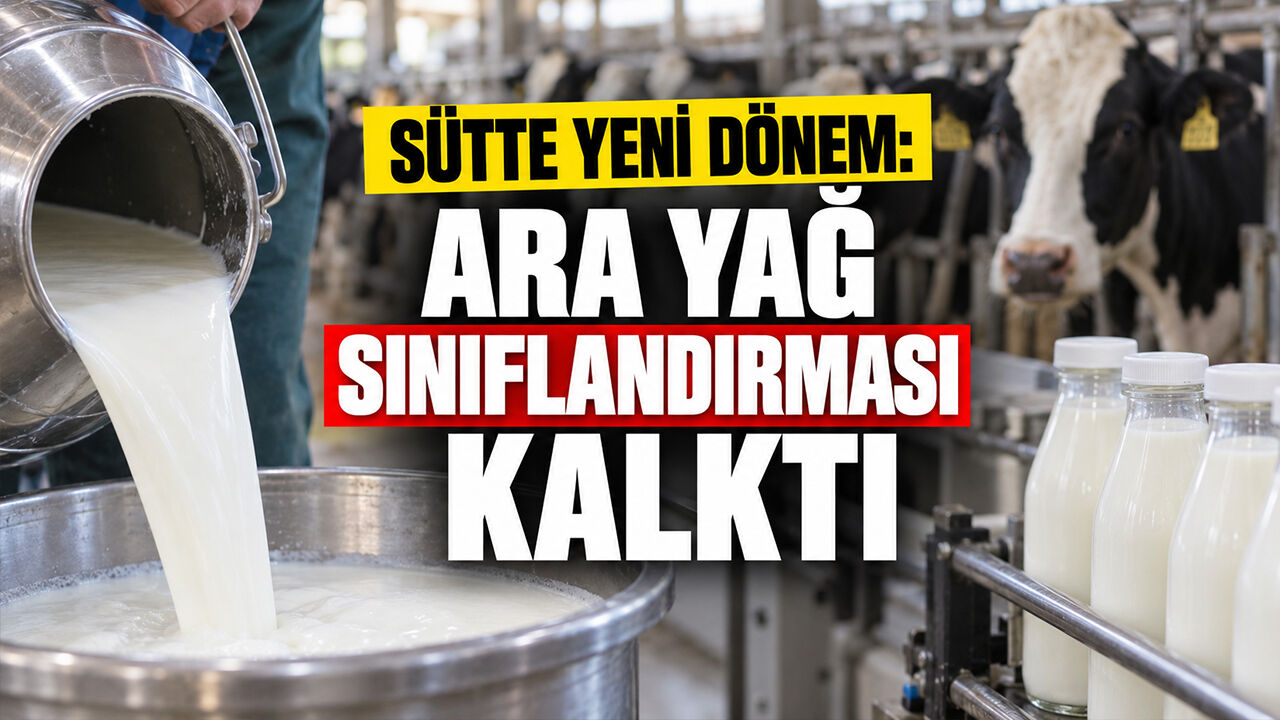 Sütte Yeni Dönem: Ara Yağ Sınıflandırması Kalktı