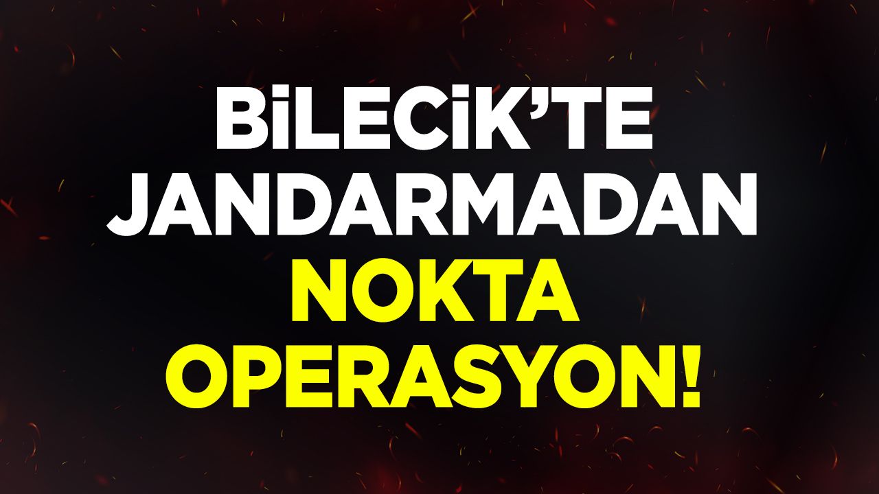 Bilecik'te Jandarmadan nokta operasyonu