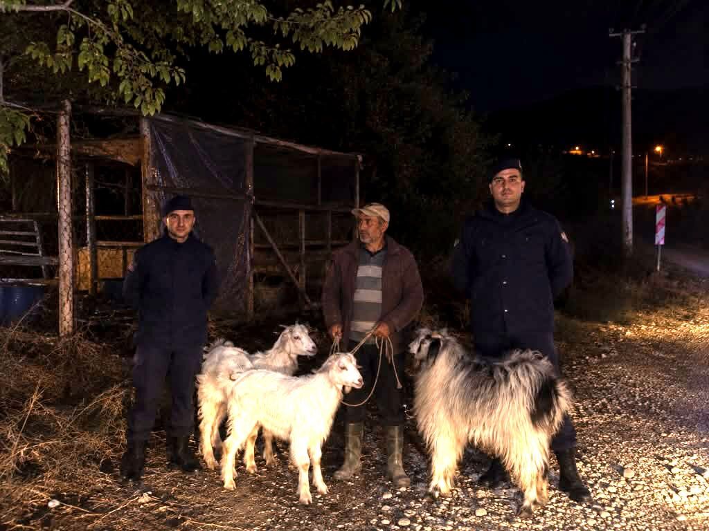 Kayıp Hayvanları Jandarma Buldu 20409