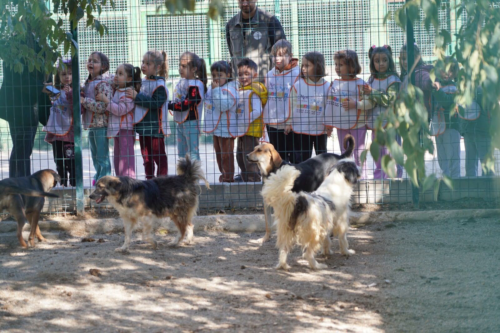 Minik Öğrencilerden Can Dostlara Sevgi Dolu Ziyaret 20097