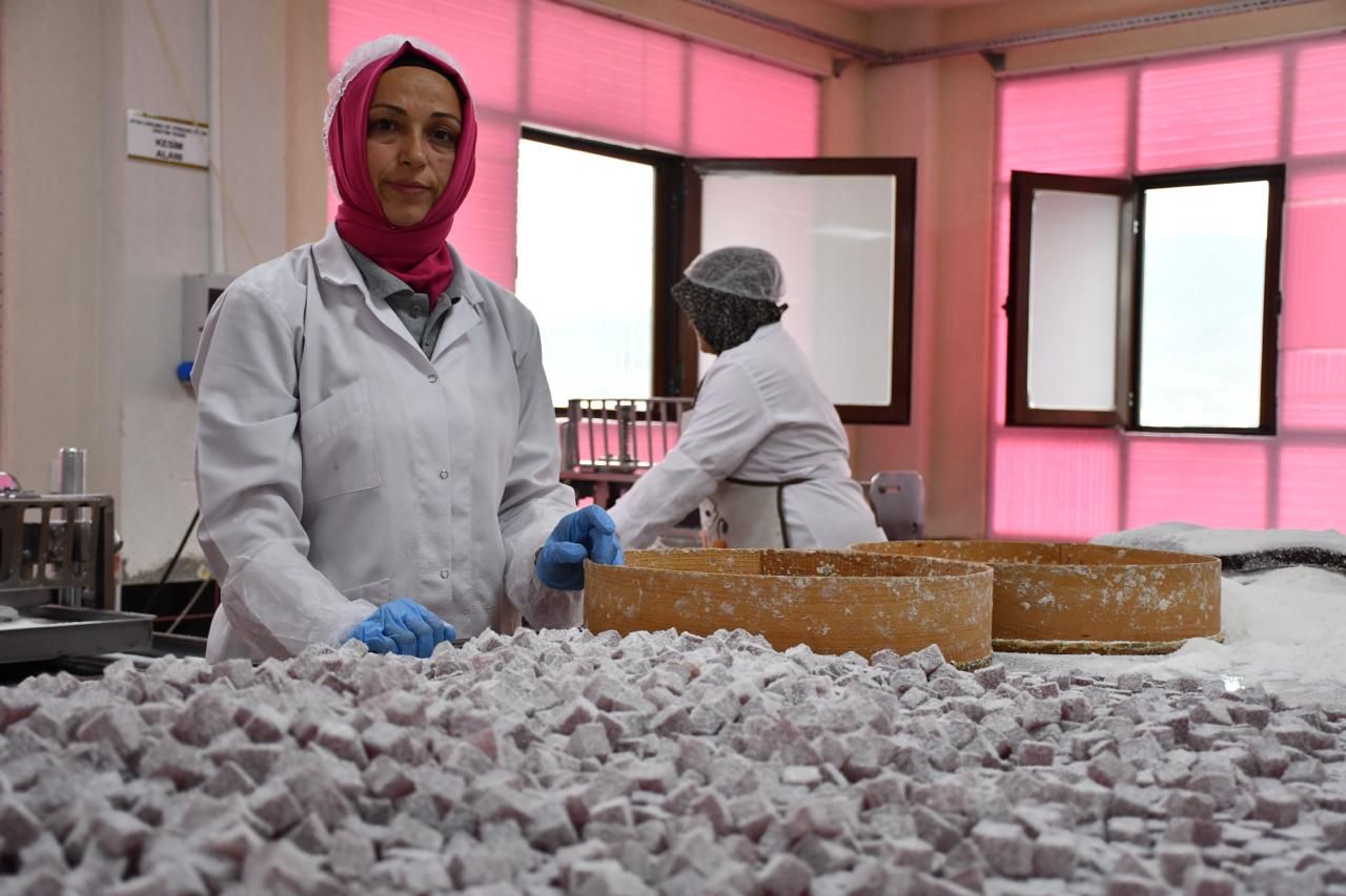 Osmaneli Ayva Lokumu Devlet Desteğiyle Üretimini Ikiye Katladı 20384